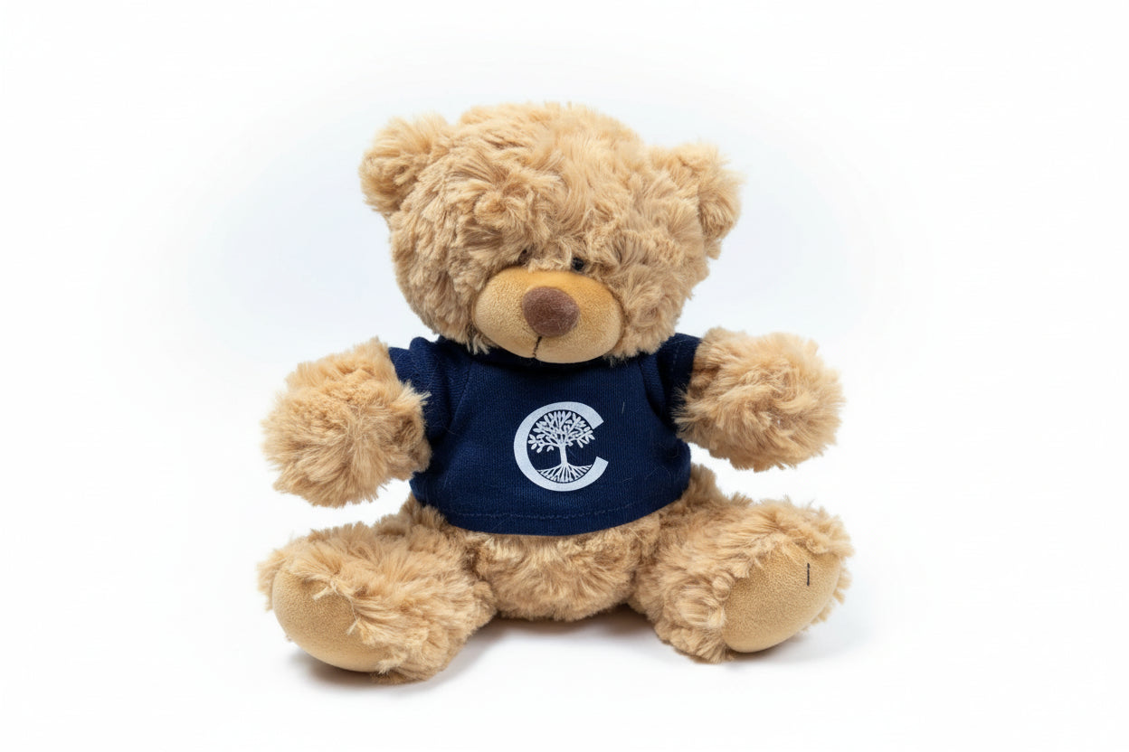 Beige teddy bear wearing a navy blue shirt with a logo, sitting on a clear plastic container.